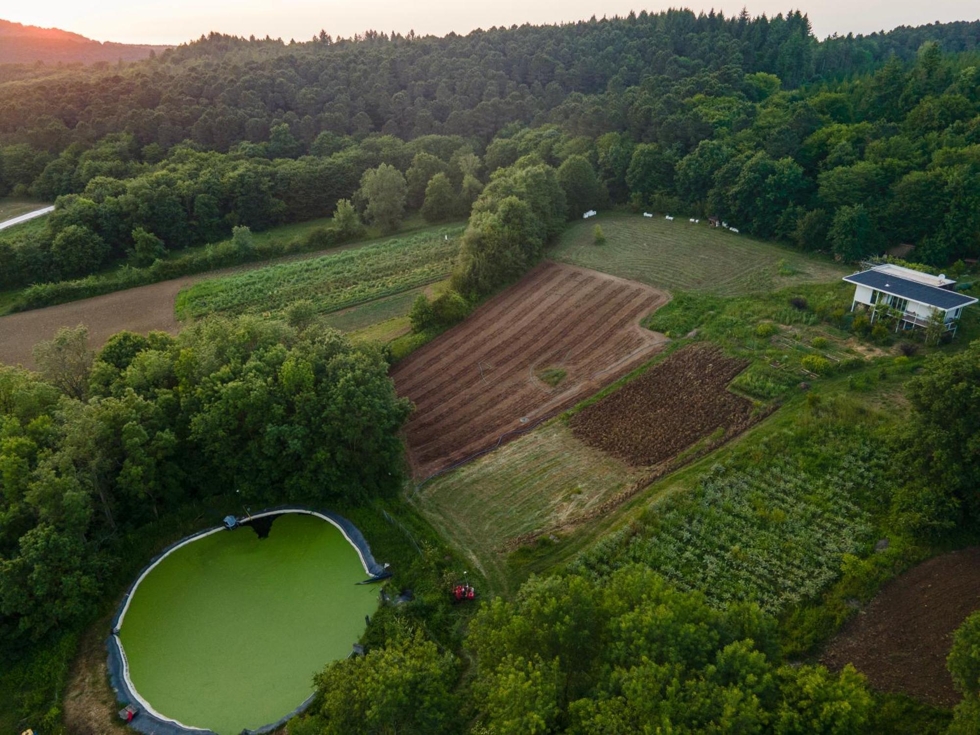 Narkoey Ecologic Hotel & Organic Farm Kocaeli Exterior foto