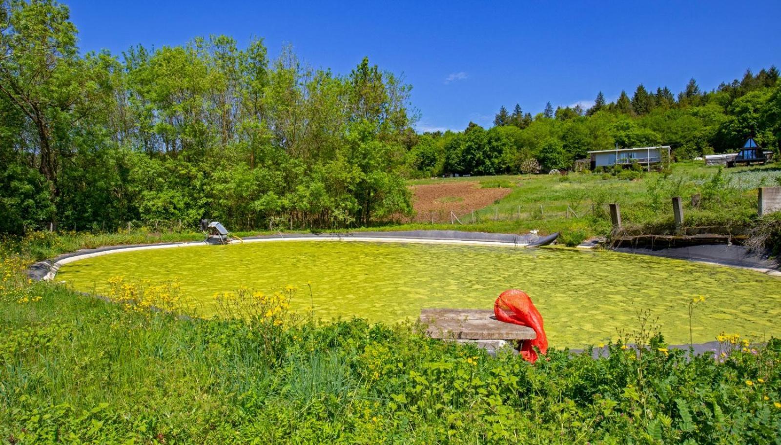 Narkoey Ecologic Hotel & Organic Farm Kocaeli Exterior foto